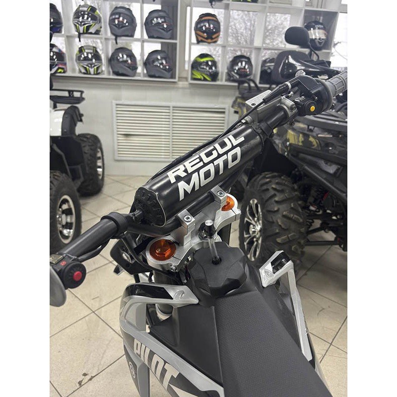Питбайк Regulmoto PILOT EA 14/12 Питбайк Regulmoto PILOT EA 14/12