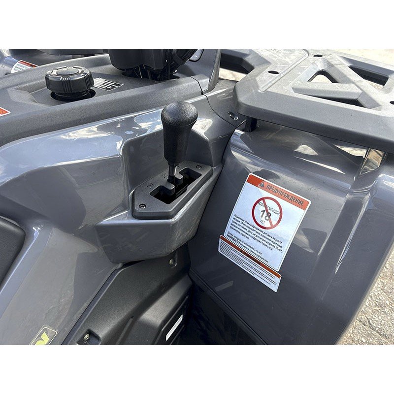 Квадроцикл Bizon YK250 Lux EFI