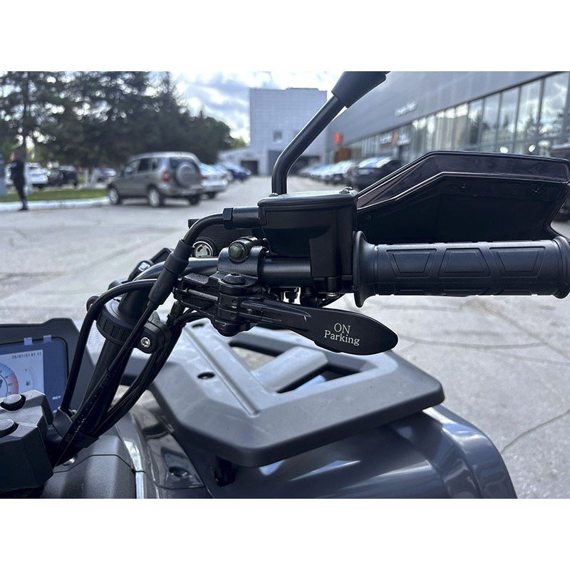 Квадроцикл Bizon YK250 Lux EFI