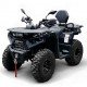 Квадроцикл Bizon YK250 Lux EFI