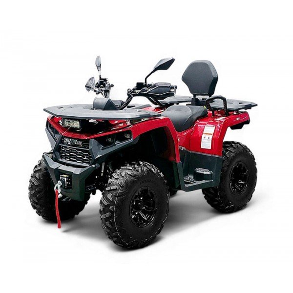 Квадроцикл Bizon YK250 Lux EFI Квадроцикл Bizon YK250 Lux EFI