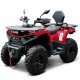 Квадроцикл Bizon YK250 Lux EFI