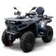 Квадроцикл Bizon YK250 Lux EFI