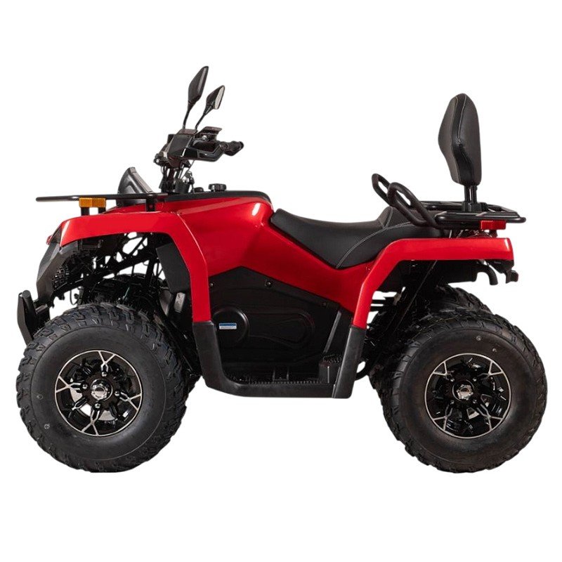Квадроцикл Bizon YK250 Lux EFI Квадроцикл Bizon YK250 Lux EFI