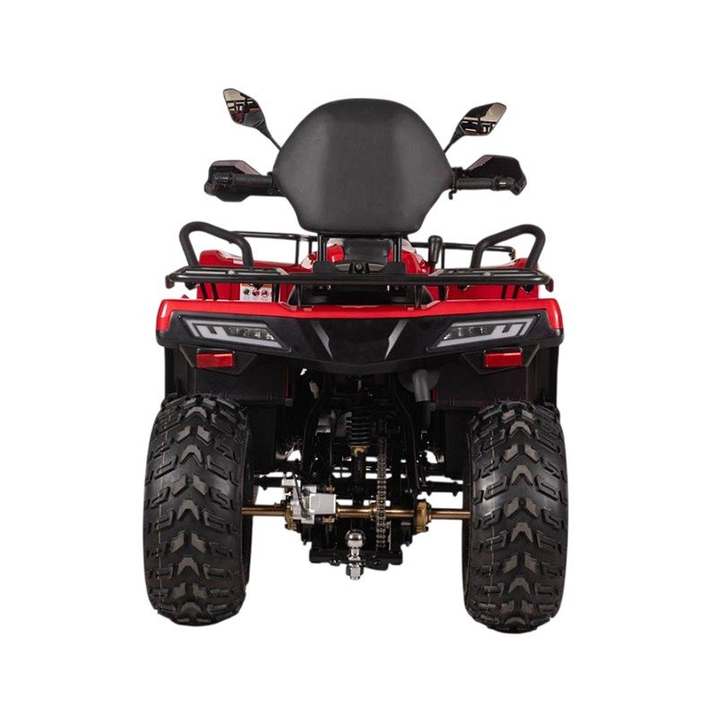 Квадроцикл Bizon YK250 Lux EFI Квадроцикл Bizon YK250 Lux EFI