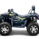 Квадроцикл Bizon ZX350