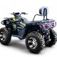 Квадроцикл Bizon ZX350