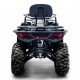 Квадроцикл Bizon ZX350