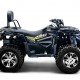 Квадроцикл Bizon ZX350