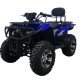 Квадроцикл Bizon ZX350
