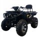Квадроцикл Bizon ZX350