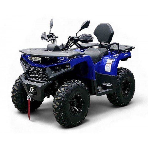 Квадроцикл Bizon YK250 Lux EFI