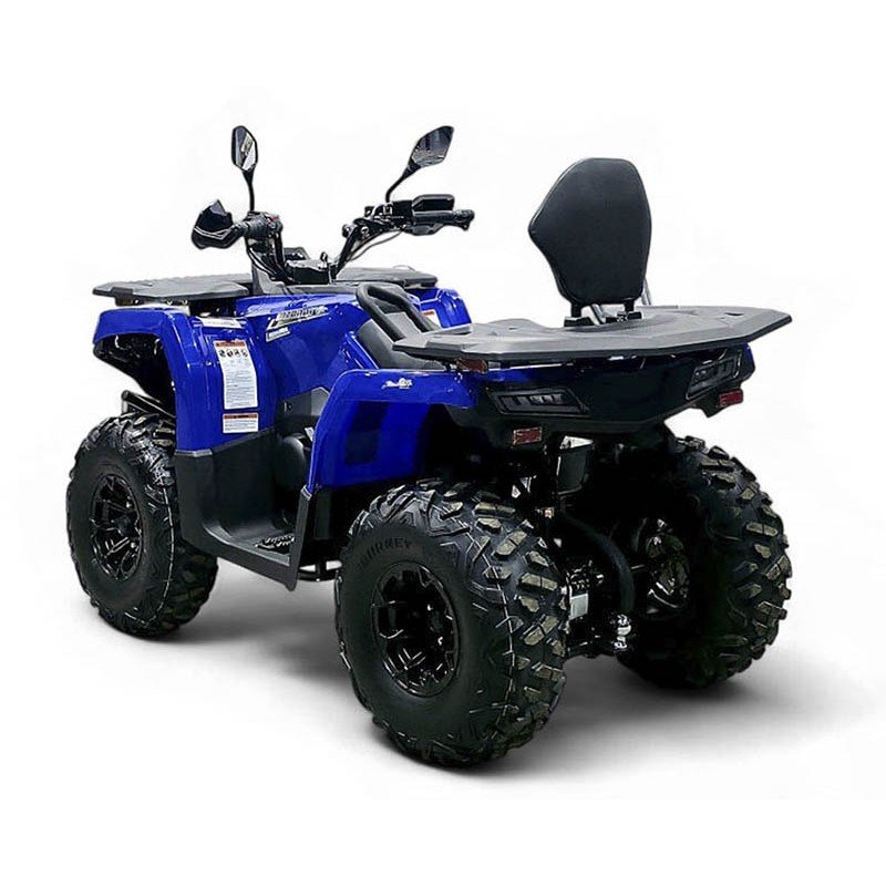 Квадроцикл Bizon YK250 Lux EFI Квадроцикл Bizon YK250 Lux EFI