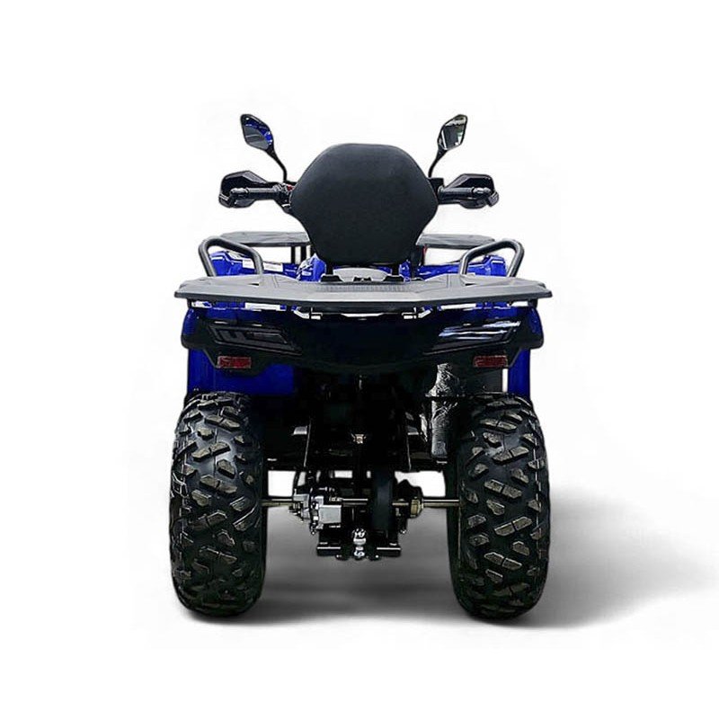 Квадроцикл Bizon YK250 Lux EFI Квадроцикл Bizon YK250 Lux EFI