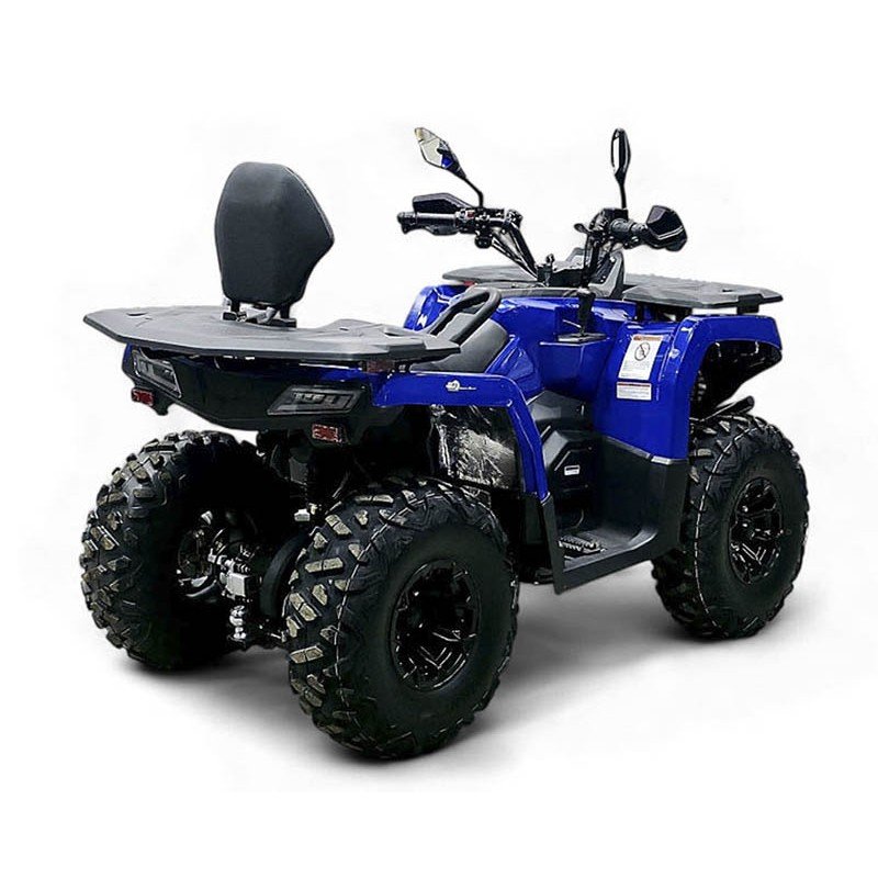 Квадроцикл Bizon YK250 Lux EFI Квадроцикл Bizon YK250 Lux EFI