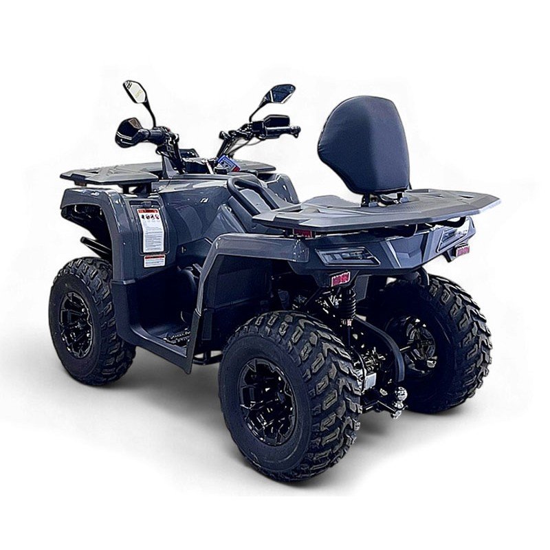 Квадроцикл Bizon YK250 Lux EFI Квадроцикл Bizon YK250 Lux EFI