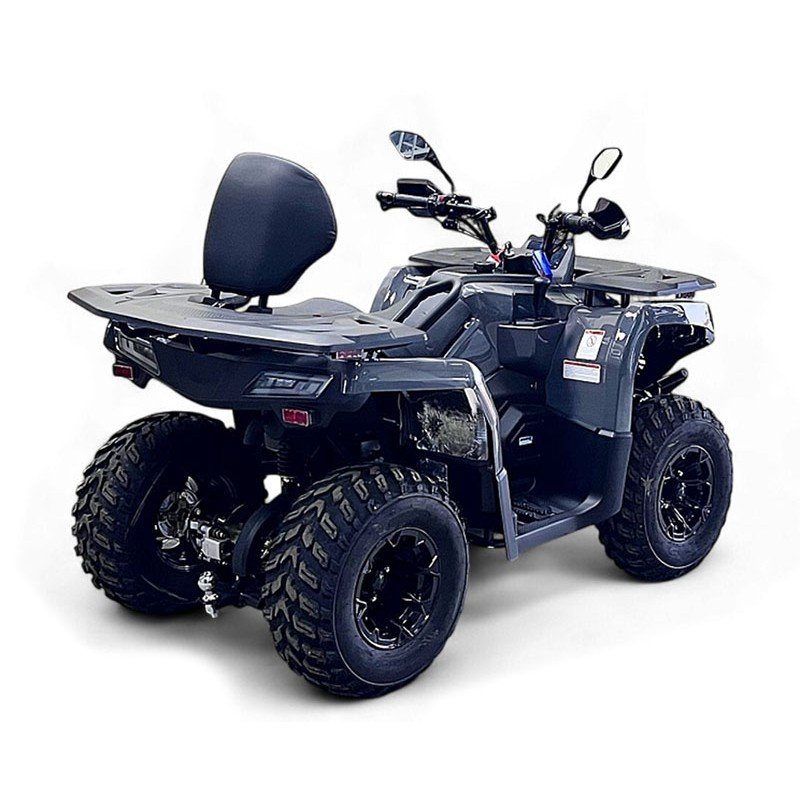 Квадроцикл Bizon YK250 Lux EFI Квадроцикл Bizon YK250 Lux EFI