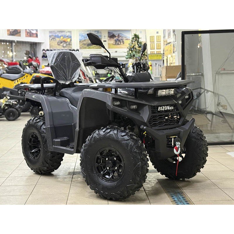 Квадроцикл Bizon YK250 Lux EFI