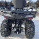 Квадроцикл Bizon YK250 Lux EFI