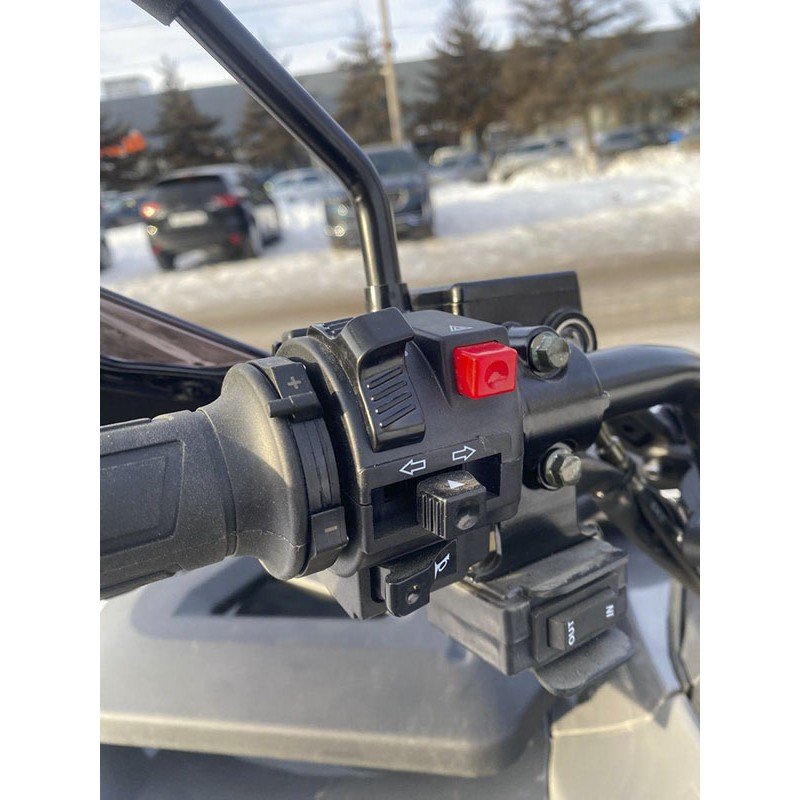 Квадроцикл Bizon YK250 Lux EFI