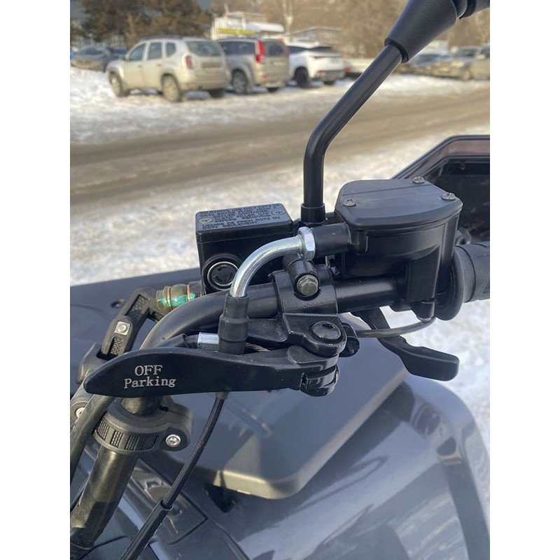 Квадроцикл Bizon YK250 Lux EFI