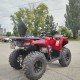 Квадроцикл Bizon YK200 Basic Carb Квадроцикл Bizon YK200 Basic Carb