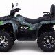 Квадроцикл MOTAX ATV Grizlik Y300