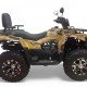 Квадроцикл MOTAX ATV Grizlik Y300