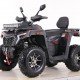 Квадроцикл MOTAX ATV Grizlik T 250 Pro