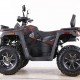 Квадроцикл MOTAX ATV Grizlik T 250 Pro