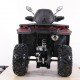 Квадроцикл MOTAX ATV Grizlik T 250 Pro
