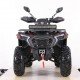 Квадроцикл MOTAX ATV Grizlik T 250 Pro
