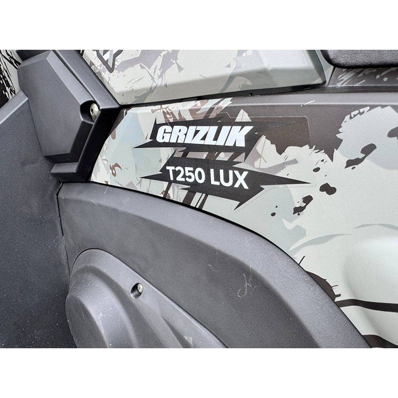 Квадроцикл MOTAX ATV Grizlik T 250 Pro