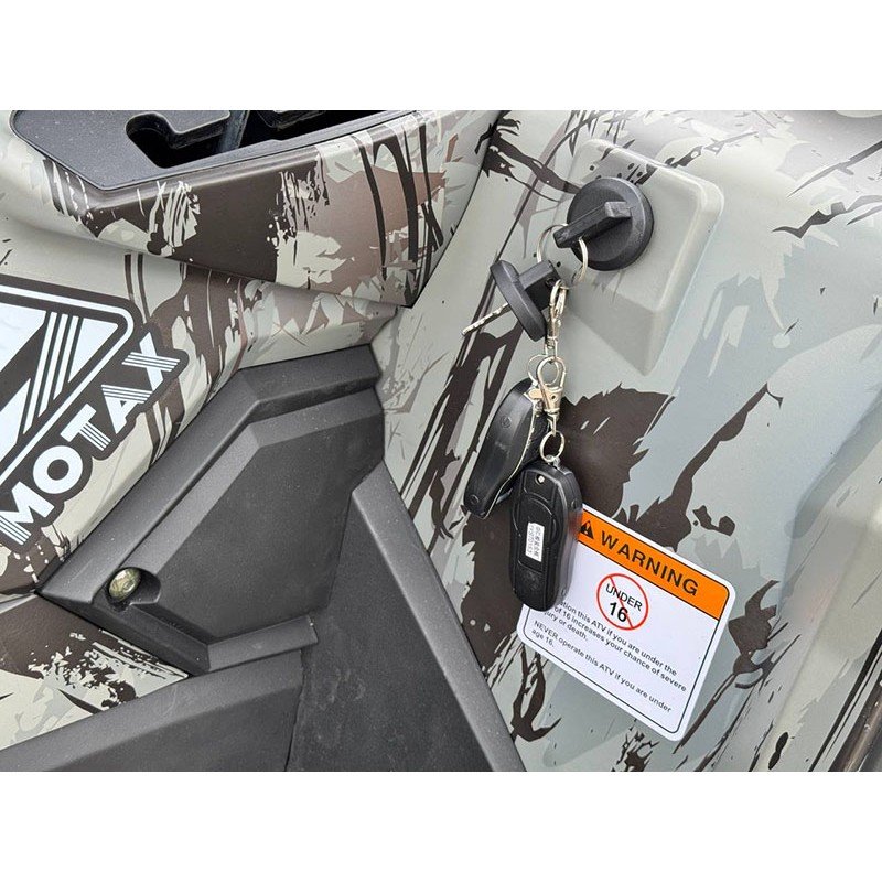 Квадроцикл MOTAX ATV Grizlik T 250 Pro