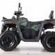 Квадроцикл MOTAX ATV Grizlik T 250 Basic