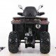 Квадроцикл MOTAX ATV Grizlik T 250 Basic