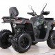 Квадроцикл MOTAX ATV Grizlik T 250 Basic