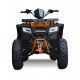 Квадроцикл Progasi Race Jumper 200 Max Power Квадроцикл Progasi Race Jumper 200 Max Power