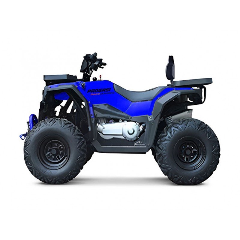 Квадроцикл Progasi Race Jumper 200 Max Power Квадроцикл Progasi Race Jumper 200 Max Power