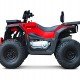 Квадроцикл Progasi Race Jumper 200 Max Power Квадроцикл Progasi Race Jumper 200 Max Power