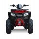 Квадроцикл Progasi Race Jumper 200 Max Power Квадроцикл Progasi Race Jumper 200 Max Power