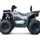 Квадроцикл Progasi Race Jumper 200 Max Power Квадроцикл Progasi Race Jumper 200 Max Power