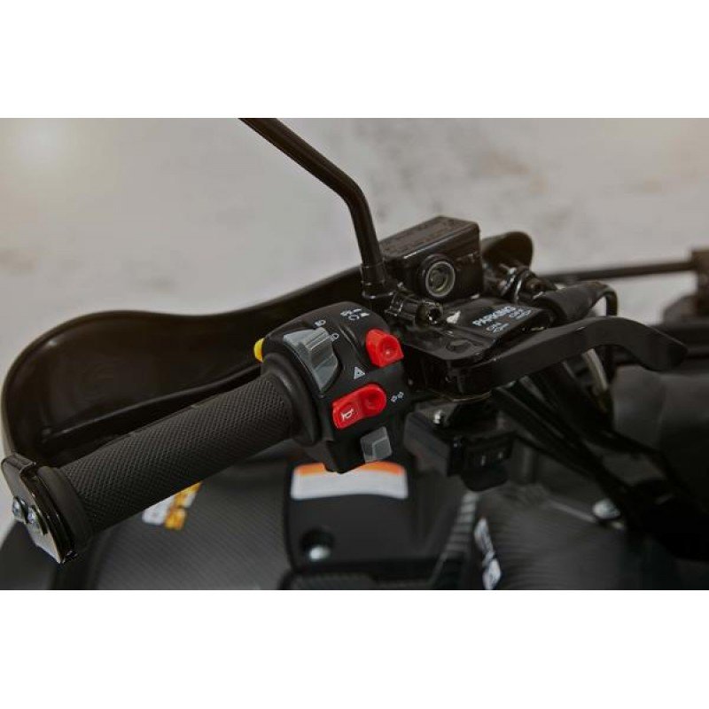 Квадроцикл Stels ATV 600 YL Leopard