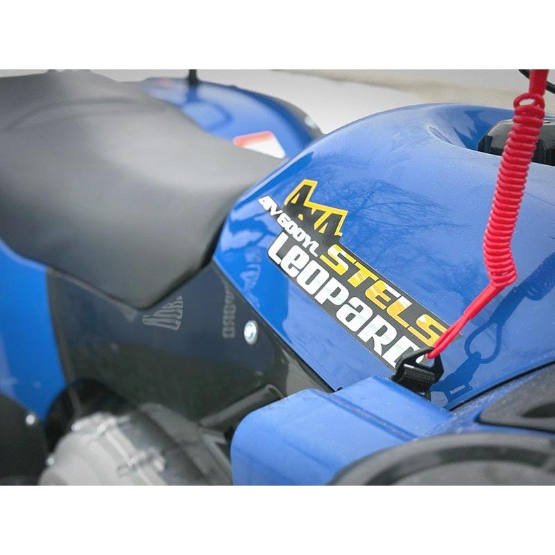 Квадроцикл Stels ATV 600 YL Leopard