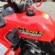 Квадроцикл Stels ATV 600 YL Leopard Квадроцикл Stels ATV 600 YL Leopard