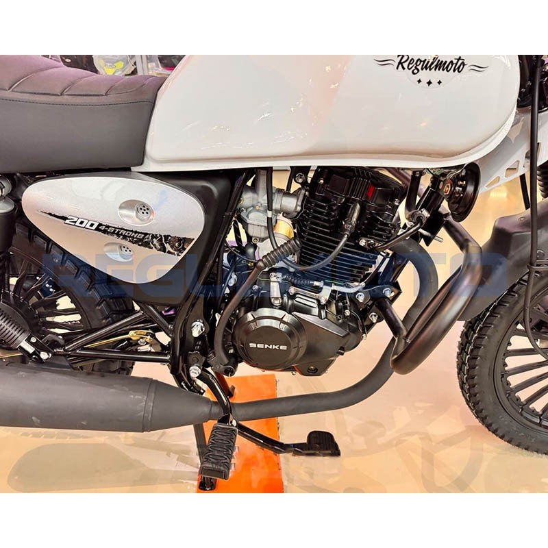 Мотоцикл Regulmoto Monster