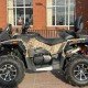 Квадроцикл Stels ATV 850 Guepard, б/у