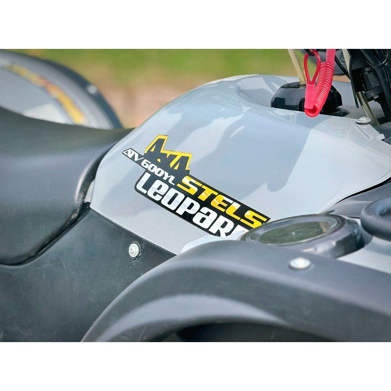Квадроцикл Stels ATV-650YL Leopard 2019 б/у