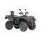 Квадрицикл Baltmotors Striker 500 EFI