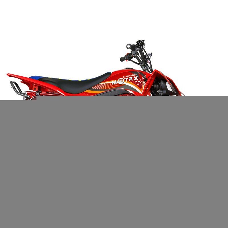 Квадроцикл Motax E-PENTORA 1500W